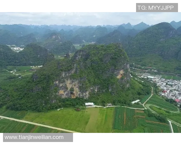 深入分析重庆攀岩队独特进攻战术与技巧运用的全景解读