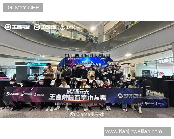 聚焦王者荣耀TES战队的迅速崛起与战术创新探讨