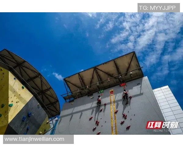 西安攀岩队与杭州攀岩队赛后分析与战术对比探讨